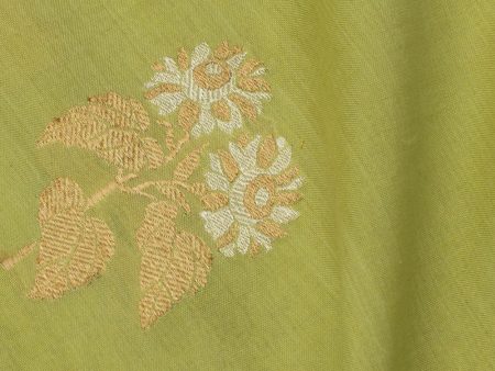 Pista Green Pure Ektara Cotton Banarasi Handloom Fabric Sale