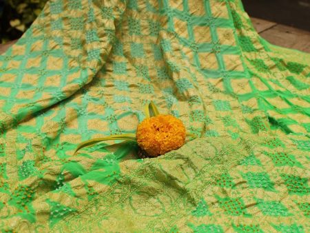 Light Blue - Green Pure Georgette Banarasi Handloom Bandhani Dupatta Fashion