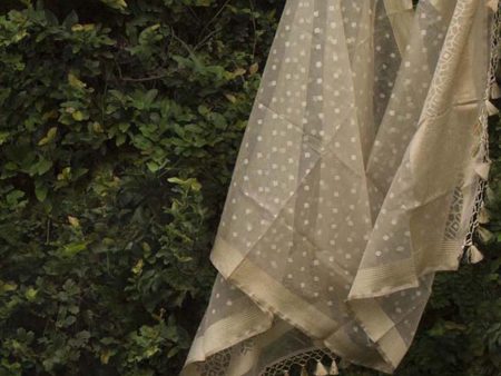 Beige-Grey Pure Kora Net Banarasi Handloom Dupatta Fashion