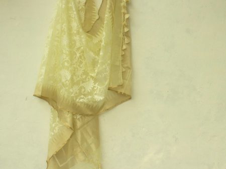 Mint Yellow Pure Kora Net Banarasi Handloom Dupatta For Sale