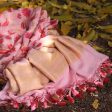 Light Pink Pure Khaddi Georgette Banarasi Handloom Dupatta For Cheap