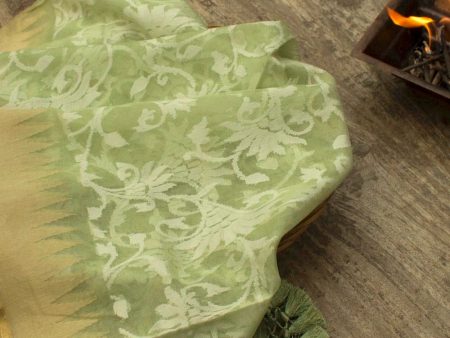 Pista Green Pure Kora Silk Net Banarasi Handloom Dupatta Supply