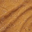 Mustard Ombr√© Pure Georgette Banarasi Handloom Bandhani Dupatta Cheap